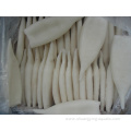 New Arrival Frozen Squid Tube Size U3 U5
